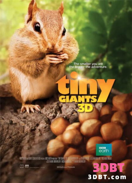 3D纪录片《小巨人3D》国语中文字幕 Tiny Giants 3D 左右分屏格式 英国纪录片 百度网盘下载